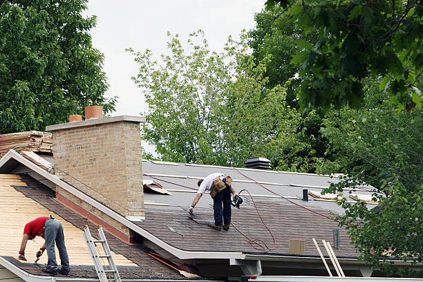 Best Gutter Installation and Roofing  in Cowarts, AL